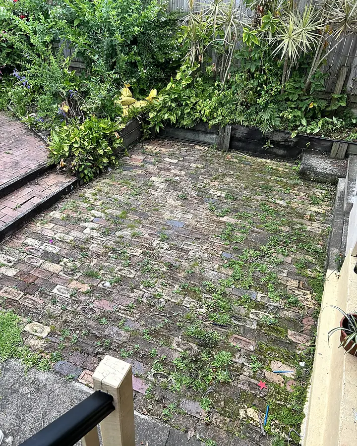 Brick pavers overgrown with weeds and moss before cleaning