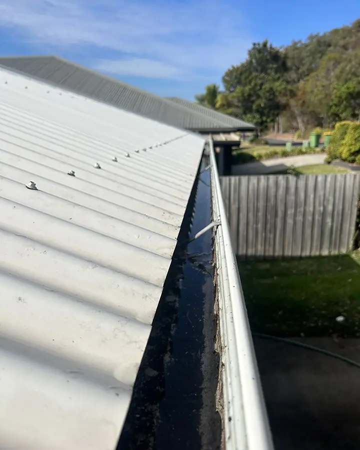 The same gutter cleared and flowing, the roof sheet clean