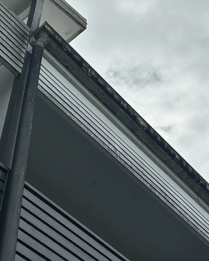 Looking up at a dark house gutter, downpipe and eaves streaked with black mould