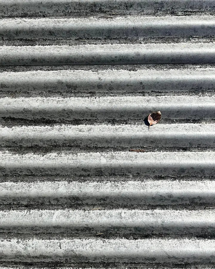 A corrugated roof sheet with dark mould packed into the ribs