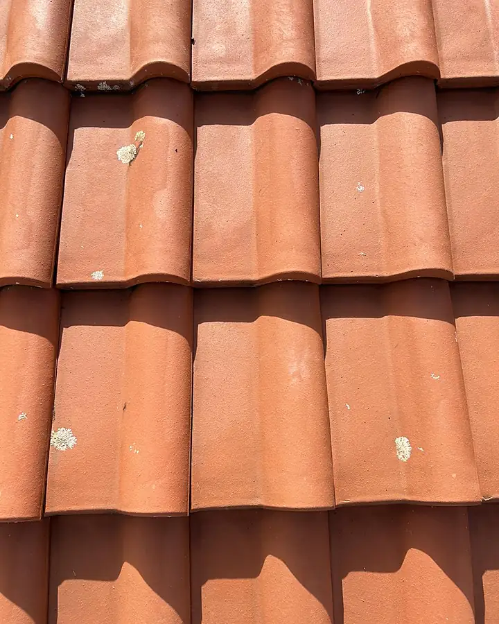 The same terracotta tiles clean and orange again, a few lichen spots remaining
