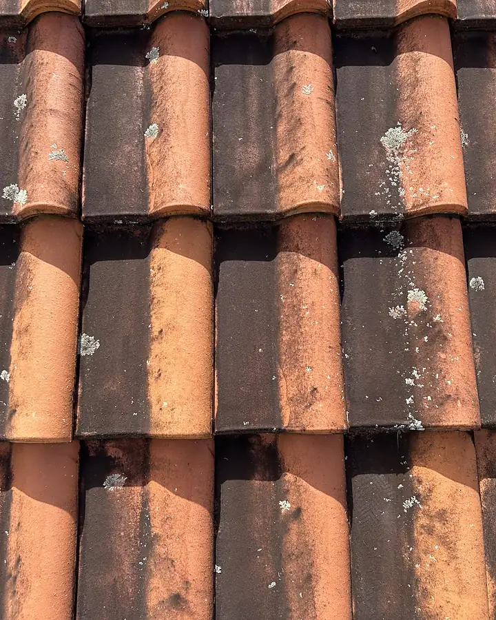 Close view of terracotta tiles dark with grime and white lichen spots