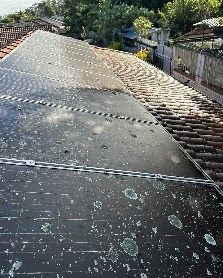 Solar panels spotted with bird droppings and grime before cleaning
