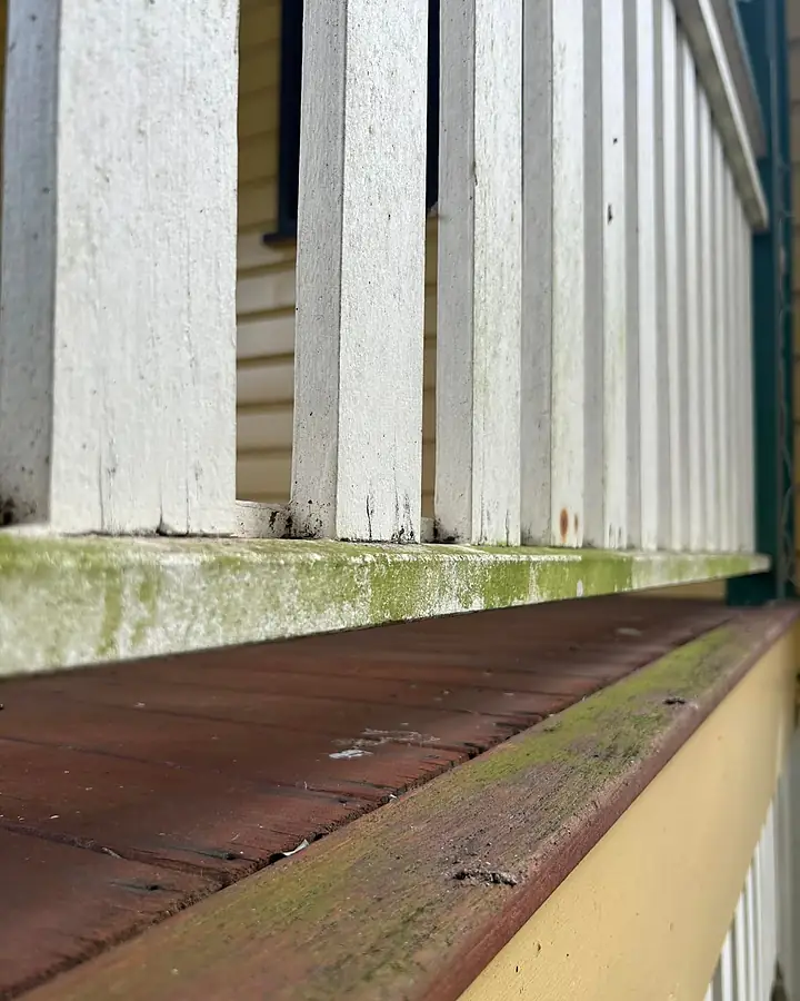 A Queenslander balustrade and timber sill with green algae on the ledge