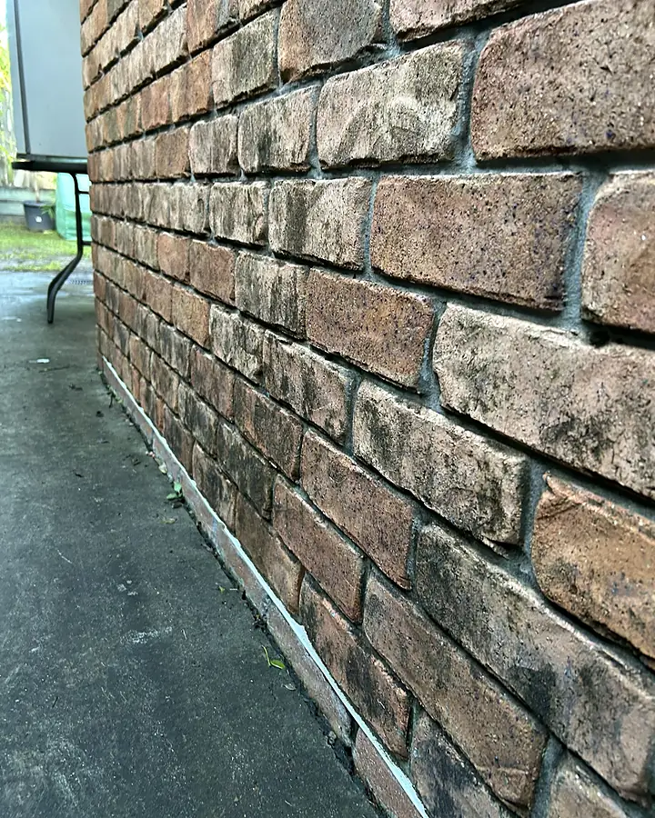 Exterior brickwork streaked with black mould above a dark path
