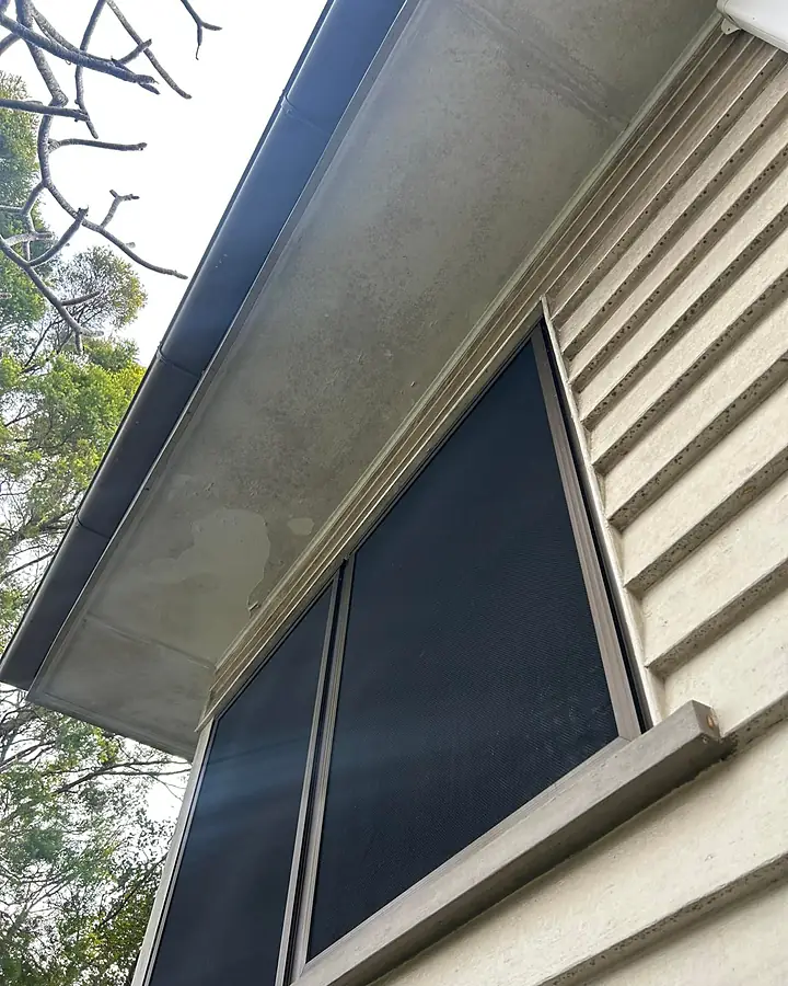 A weatherboard eave and window with grey mould on the soffit and sill