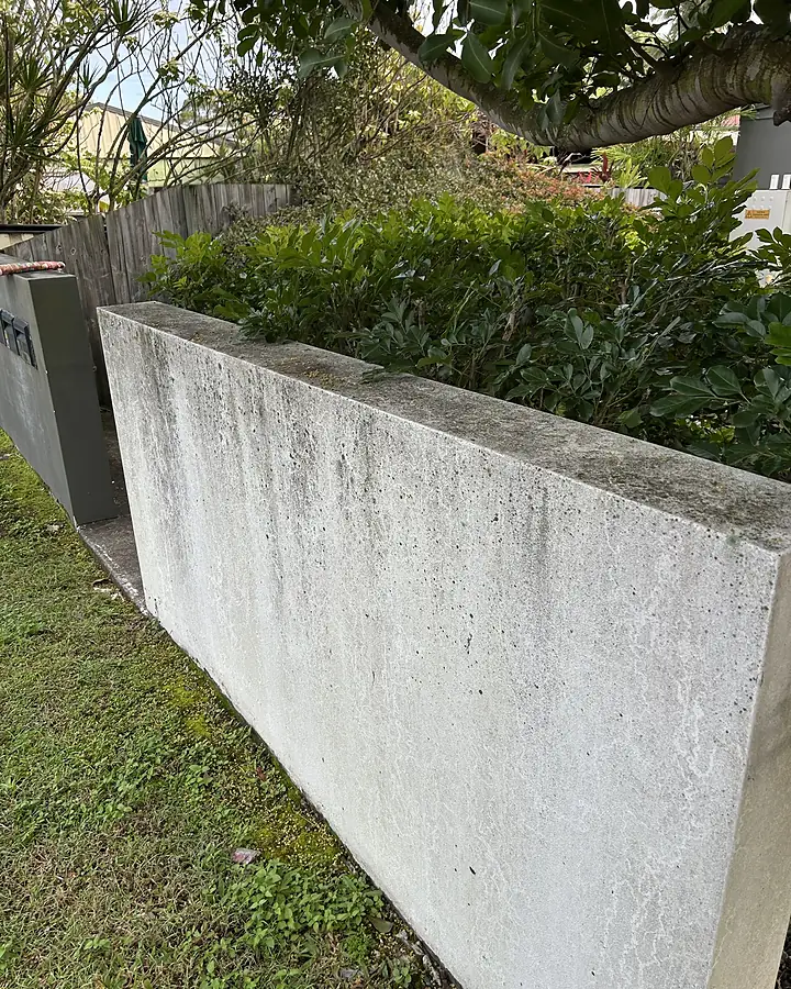 A rendered wall marked with grey mould and streaks before soft washing