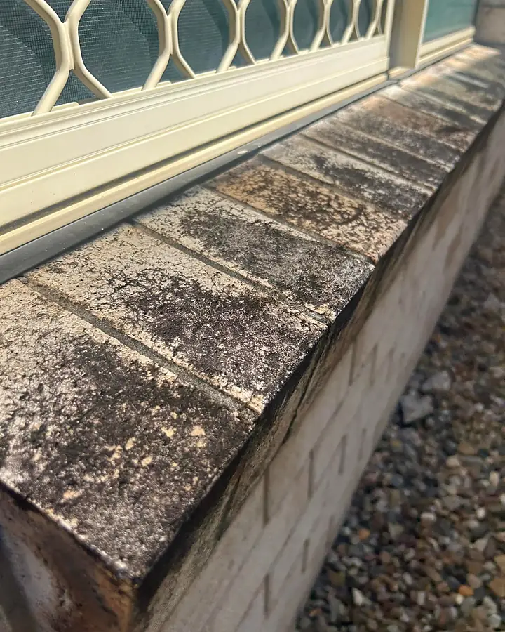 A pale brick window sill under a security screen darkened with mould